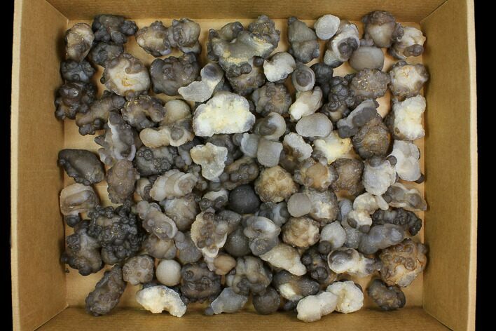 Lot: to Natural Chalcedony Nodules - Pieces #137982
